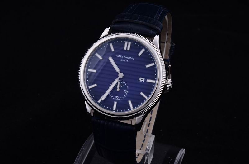 Patek Philippe Watch 309